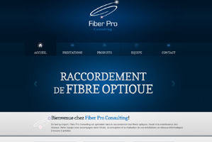 Fiber Pro Consulting